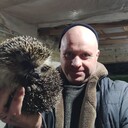 ���������� �����������, ���� ������� �������, 45 ���, ������������ ��� ������, ����� � ���������