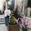 ,   , 56 ,     , c , 