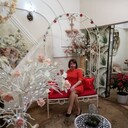  ,   , 43 ,  