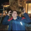  -,   Viktor, 36 ,   ,   , c , 