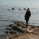 ���������� �����������, ���� ������� ������, 56 ���, ������������ ��� ������, ����� � ���������, c�������� ���������, ���������