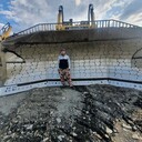 ���������� ���������, ���� ������� �������, 44 ����, ������������ ��� ������, ����� � ���������