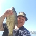  ,   , 56 ,   ,   , c 