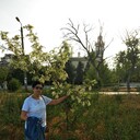 ���������� ��������, ���� ������� ������, 54 ����, ������������ ��� ������, ����� � ���������, c�������� ���������