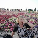  ,   , 57 ,     , c 