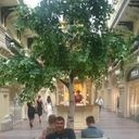  ,   , 35 ,   