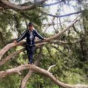 ���������� �������, ���� ������� TOLIBJON, 42 ����, ������������ ��� ������, ����� � ���������, c�������� ���������