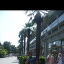  ,   , 31 ,   ,   