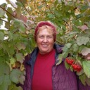 ���������� �������, ���� ������� ��������, 58 ���, ������������ ��� ������, ����� � ���������