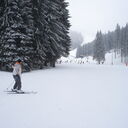  ,   Sergei, 64 ,     , c 