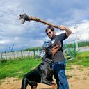 ���������� ������, ���� ������� ���������, 37 ���, ������������ ��� c�������� ���������