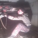 ���������� �����������, ���� ������� ���������, 38 ���, ������������ ��� ������, ����� � ���������, c�������� ���������, ���������