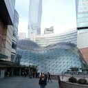 ���������� ������, ���� ������� ����, 37 ���, ������������ ��� ������, ����� � ���������