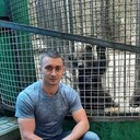 ���������� �����������, ���� ������� ���������, 29 ���, ������������ ��� ������, ����� � ���������, c�������� ���������