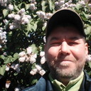 ���������� ����������, ���� ������� Vitalik, 45 ���, ������������ ��� ������, ����� � ���������, c�������� ���������