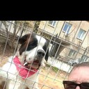 ���������� ������, ���� ������� ���������, 50 ���, ������������ ��� ������, ����� � ���������, c�������� ���������, ���������