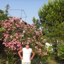 ���������� ������, ���� ������� ������, 75 ���, ������������ ��� ������, ����� � ���������, c�������� ���������