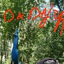 ���������� ������, ���� ������� ���, 37 ���, ������������ ��� ������, ����� � ���������