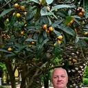 ���������� ����, ���� ������� ������, 62 ����, ������������ ��� ������, ����� � ���������, c�������� ���������