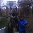 ���������� �������, ���� ������� ����, 35 ���, ������������ ��� ������, ����� � ���������, c�������� ���������, ���������