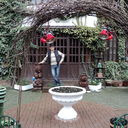 ���������� ������, ���� ������� �����, 48 ���, ������������ ��� ������, ����� � ���������, c�������� ���������