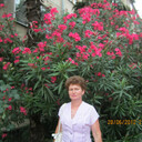  ,   , 65 ,     , c 