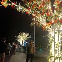 ���������� ������ ��������, ���� ������� �������, 40 ���, ������������ ��� ������, ����� � ���������