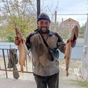 ���������� ���������, ���� ������� ������, 43 ����, ������������ ��� ������, ����� � ���������, c�������� ���������