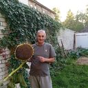 ���������� ������������, ���� ������� ������, 51 ���, ������������ ��� ������, ����� � ���������