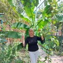  ,   , 61 ,   ,   