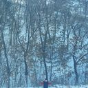 ���������� ������������, ���� ����� ���������, 22 ����, ������������ ��� ������, ����� � ���������