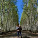 ���������� �������, ���� ������� �����, 24 ����, ������������ ��� ������, ����� � ���������, ���������