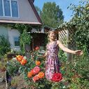 ���������� ���������, ���� ������� �������, 67 ���, ������������ ��� c�������� ���������