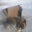 ���������� ������, ���� ������� ����, 58 ���, ������������ ��� ����� � ���������, c�������� ���������