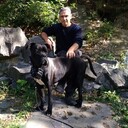  ,   Dimon, 42 ,   ,   , c 