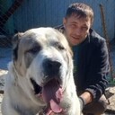 ���������� ���������, ���� ������� ������, 40 ���, ������������ ��� ������, ����� � ���������