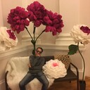 ���������� ������, ���� ������� ����, 27 ���, ������������ ��� ������, ����� � ���������, c�������� ���������