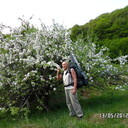  ,   , 76 ,   ,   