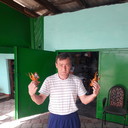 ���������� ������, ���� ������� ���������, 46 ���, ������������ ��� ������, ����� � ���������, c�������� ���������