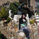 ���������� ����, ���� ������� ������, 38 ���, ������������ ��� ����� � ���������, c�������� ���������