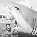 ���������� �����, ���� ������� �������, 30 ���, ������������ ��� ������, ����� � ���������, ���������