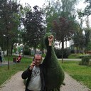 ���������� ���������, ���� ������� �������, 42 ����, ������������ ��� ������, ����� � ���������, c�������� ���������