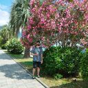 ���������� ������, ���� ������� ������, 35 ���, ������������ ��� ������, ����� � ���������, c�������� ���������