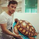 ���������� �����, ���� ������� Zevs, 38 ���, ������������ ��� ������, ���������