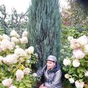  ,   , 66 ,   ,   