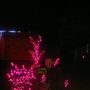 ���������� ���������, ���� ������� Maxim, 31 ���, ������������ ��� ������, ����� � ���������, c�������� ���������