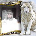  ,   , 42 ,   