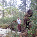  ,   , 43 ,   ,   , c , 