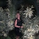 ���������� ������, ���� ������� �����, 38 ���, ������������ ��� ������, ���������