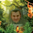 ���������� ������ ��������, ���� ������� ������, 44 ����, ������������ ��� ������, ����� � ���������, c�������� ���������